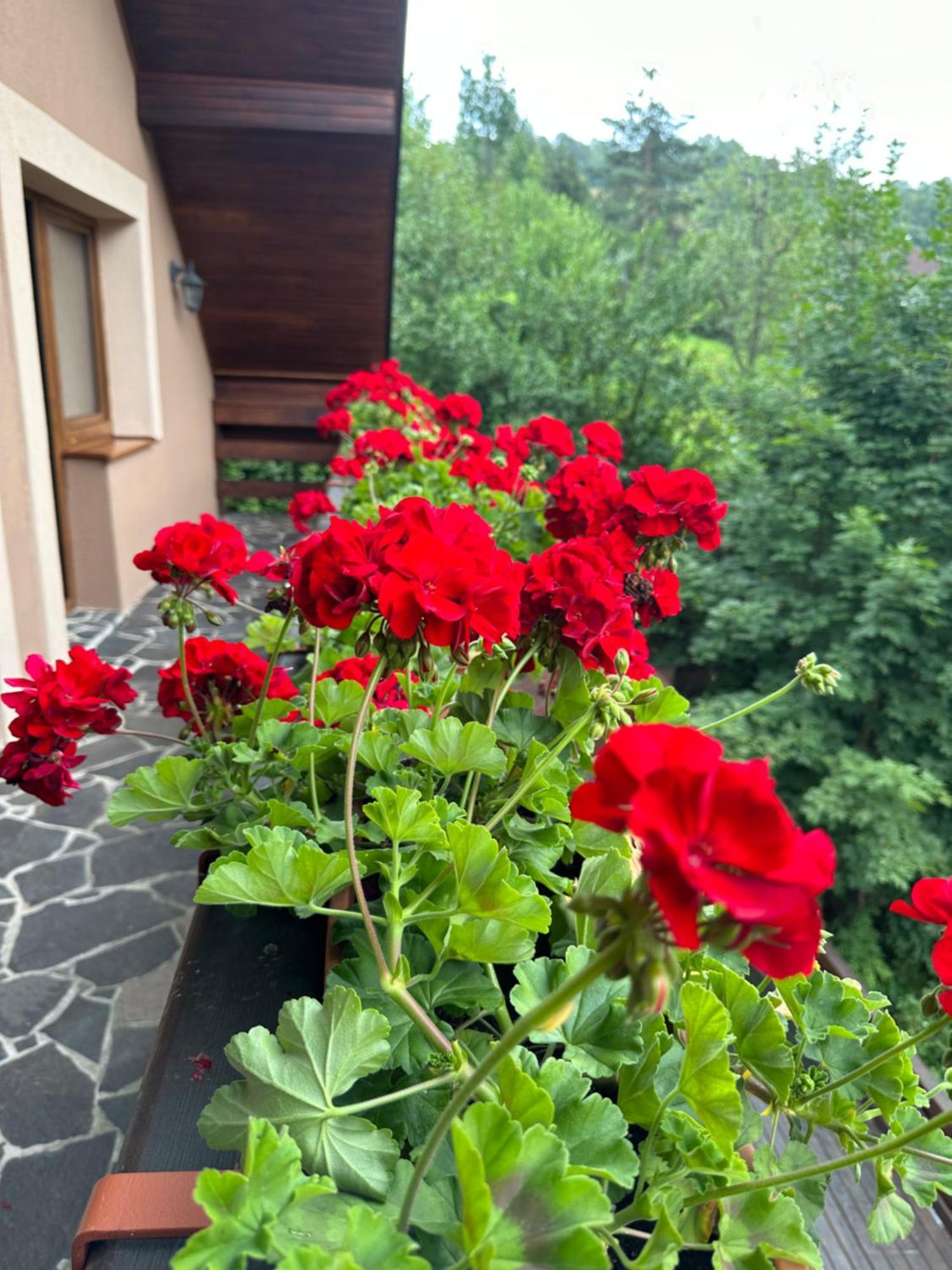 Holiday Home Skalka Mýto pod Ďumbierom 外观 照片
