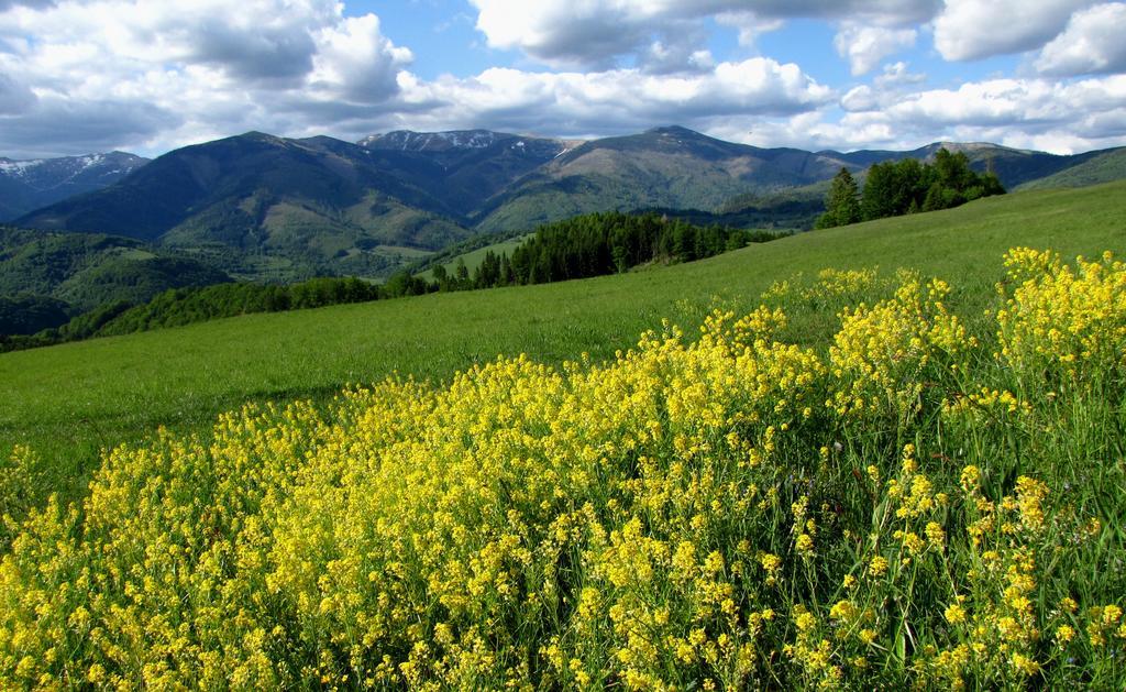 Holiday Home Skalka Mýto pod Ďumbierom 外观 照片