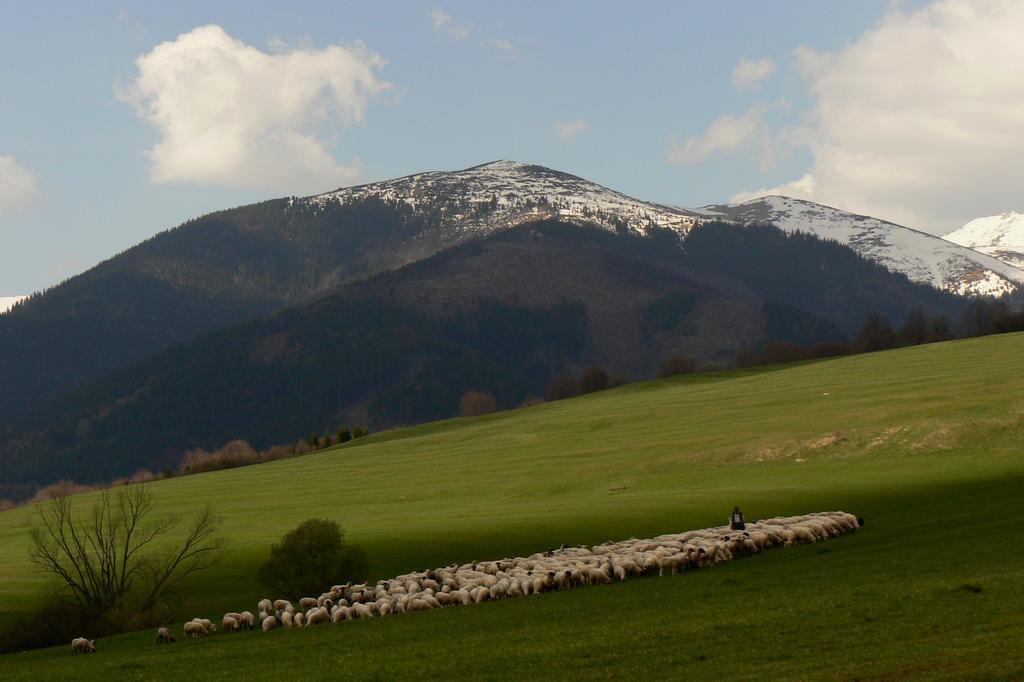 Holiday Home Skalka Mýto pod Ďumbierom 外观 照片